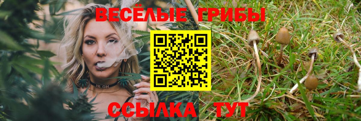 Лысьва  Псилоцибиновые грибы Cubensis  Вход с VPN  Псилоцибиновые грибы мицелий 